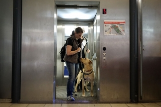 Eine Frau und ein Hund kommen aus einem Aufzug.