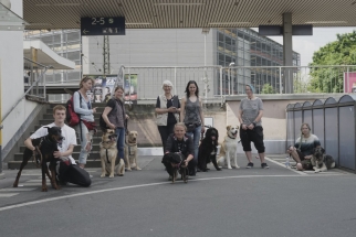 Zu sehen ist eine Gruppe Menschen mit Hunden auf einem Parkplatz